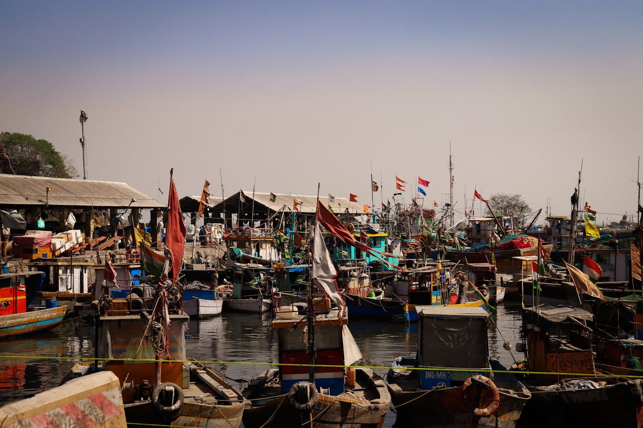 Vibrant fishing boats and docks in a busy harbor in Mumbai, showcasing local nautical life.